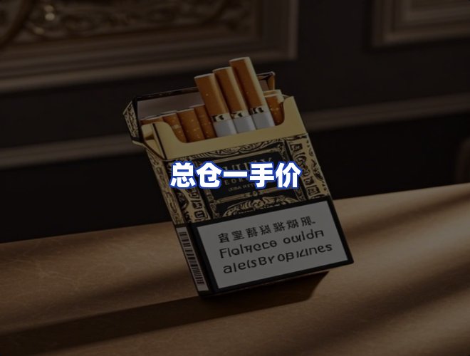 专业团队